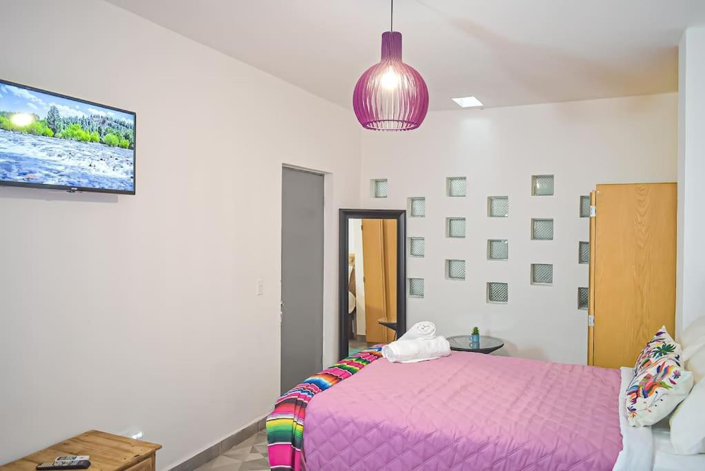 Downtown Beautiful 2Br Apartment Blocks From Beach #5 拉巴斯 外观 照片